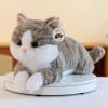 19 inch 3 Lbs Cat Weighted Stuffed Animals, Realistic Weighted Cat Stuffed Animal, Sensory Comfort Plush Throw Pillow, Soft Kawaii Stuffed Kitty Plush Toy Gift for Adults Kids Youth view 3