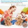GOBRILLFUN Interactive Singing Plush Toy - Dog Stuffed Animals Record & Repeats What You Say, 8 Songs, Head & Ear Movements, Birthday for Toddlers Age 3 4 5 6 (10.2' Goldendoodle Toy) view 2