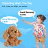 GOBRILLFUN Interactive Singing Plush Toy - Dog Stuffed Animals Record & Repeats What You Say, 8 Songs, Head & Ear Movements, Birthday for Toddlers Age 3 4 5 6 (10.2' Goldendoodle Toy) view 3