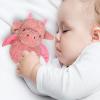 Doindute Baby Dragon Soft Rattle Toy, Plush Dinosaur Infant Shaker Rattle Easy-Grasp Stuffed Animal Toy, Gifts for Newborns Babies Toddlers Boys Girls, Pale Red, 6 Inches view 4