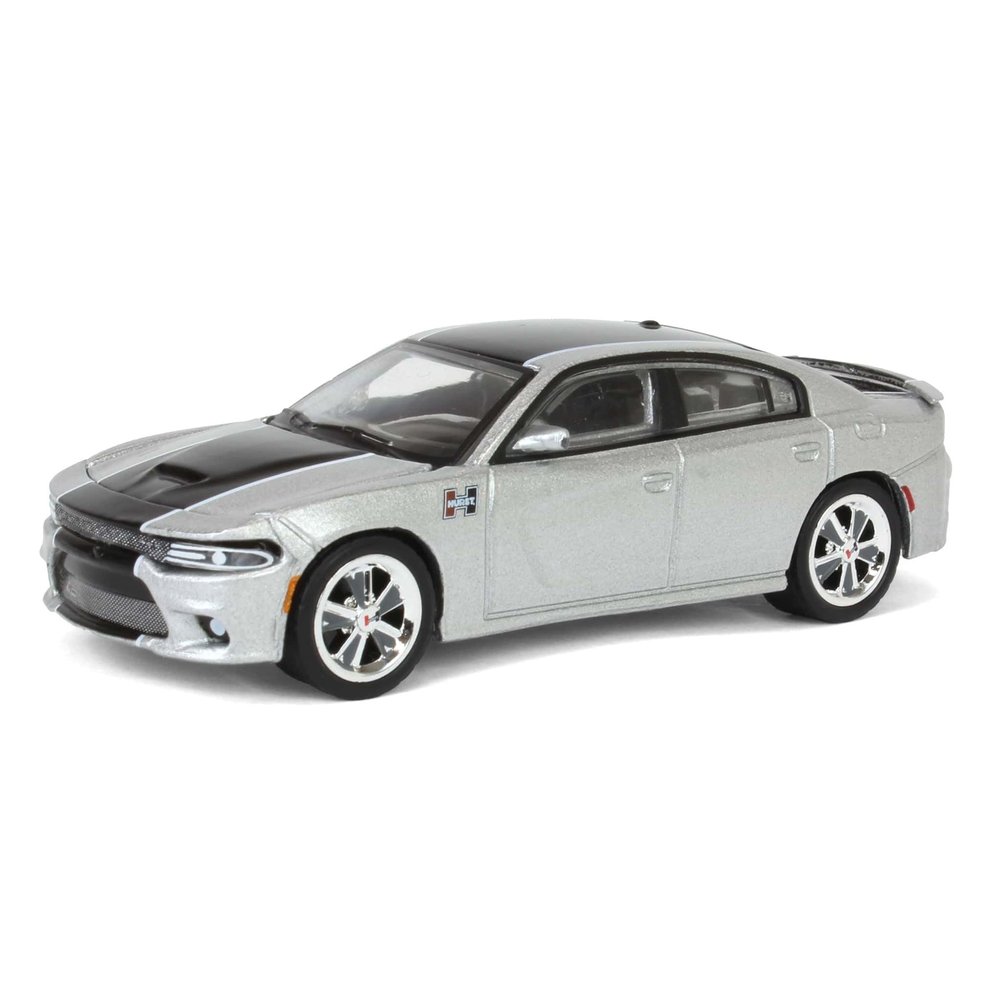 2018 SRT 392 Silver Metallic with Black Stripe Mr. Norm Heritage GSS Hobby Exclusive Series 1/64 Diecast Model Car by Greenlight GL30506