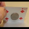 Murphy's Magic Supplies, Inc. Magnetic Card- Bicycle Cards (2 Per Package) Double Back Blue by Chazpro - Trick view 2