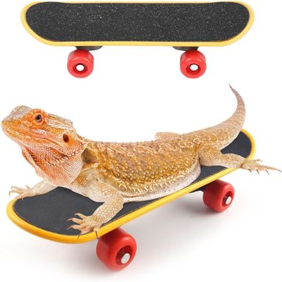 HAICHEN TEC Beard Dragon Toys Funny Fast Mini Skateboard Birds Smart Toys Turtles Outdoor Walking Running Playing Finger Skateboards for Small Animal Reptiles Lizard Turtle (S,6PC)