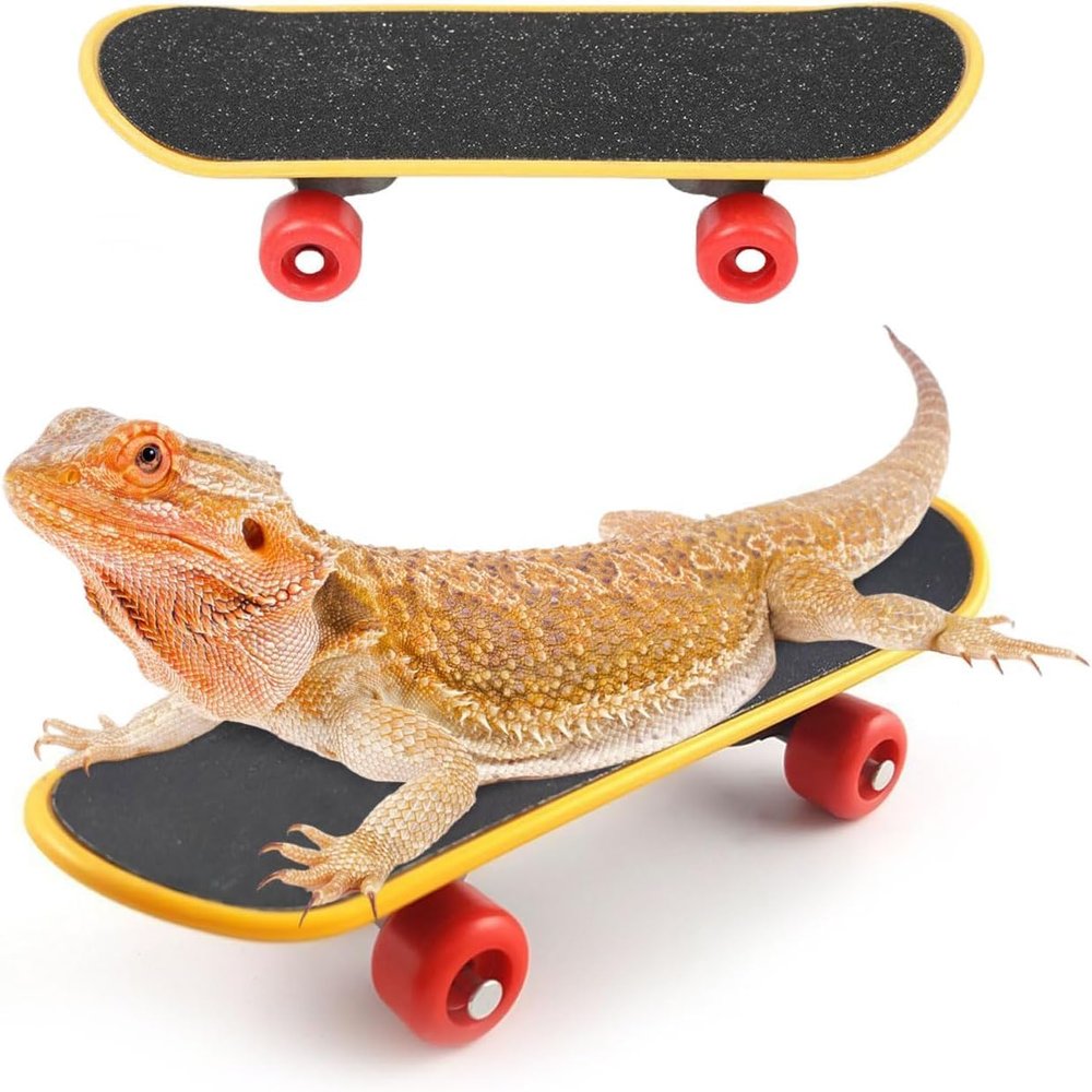 HAICHEN TEC Beard Dragon Toys Funny Fast Mini Skateboard Birds Smart Toys Turtles Outdoor Walking Running Playing Finger Skateboards for Small Animal Reptiles Lizard Turtle (S,6PC)