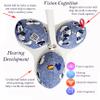 Handmade Mamaroo Balls Replacement Toy Balls for Mamaroo 4moms swing Removable Toy Balls with Crinkle Rattle Sounds view 2