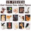 15 Pcs Farm Animal Toy for Toddler Kid, Plastic Toy Farm Animal Figure Set Playset Including Cow Horse Goat Sheep Pig Donkey Goose Duck Turkey Chicken Dog Cat Rabbit for Kid Age 3-5 5-7 view 3