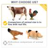 15 Pcs Farm Animal Toy for Toddler Kid, Plastic Toy Farm Animal Figure Set Playset Including Cow Horse Goat Sheep Pig Donkey Goose Duck Turkey Chicken Dog Cat Rabbit for Kid Age 3-5 5-7 view 4