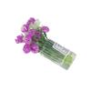 Dollhouse Miniature Flowers Doll House Mini Vase with Flower Potted Plant Flower Vase Model for DIY Micro Landscape Decoration Accessories(A) view 4
