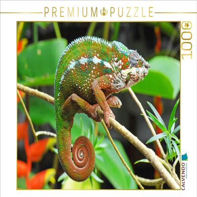 CALVENDO Puzzle Panther Chameleon in Bright Colors | 1000 Pieces Size 25" x 19"