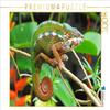 CALVENDO Puzzle Panther Chameleon in Bright Colors | 1000 Pieces Size 25" x 19" view 1