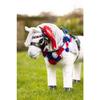 LeMieux Toy Pony Flower Sash - Colorful Red White & Blue Flower Garland - Congratulate Your Winning Toy Pony - Suitable for Ages 3+ view 3