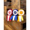 LeMieux Hobby Horse Rosette Pack - Set of Three Satin Winner Rosettes - Congratulate Your Hobby Horse - Suitable for Ages 3+ view 1