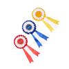 LeMieux Hobby Horse Rosette Pack - Set of Three Satin Winner Rosettes - Congratulate Your Hobby Horse - Suitable for Ages 3+ view 2