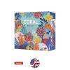 2Tomatoes Games | Coral | Board Game | Collective Construction of a Three-Dimensional Coral Reef | Cooperation, Survival and Competition | 1-4 Players | English | Theme: Sea Animals view 4