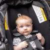 Diono LiteClik 30 R SafePlus Infant Car Seat and Base, Rear-Facing for Infants 4-30lbs, SafePlus Engineering, with Infant Insert, UPF 50+ Sunshade (Black) view 3