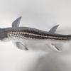 XINPANYIAN Nanmu Dinosaur Mosasaurus 2.0 Figure, Prehistoric Animal Model (Lord of Abyss Without Base) view 3