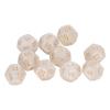 40pcs Polyhedral Dice, 12 Sided Dice Set, Clear Numbers Prevent Oxidation for Game Teaching (White) view 1