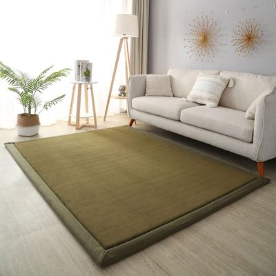 DSSHENGDS Living Room Home Decor Coral Fleece Area Rug,Modern Nursery Washable Kids Bedroom Rug,Girls Boys Soft Non-Slip Soft Mat,2cm Thick Kids Carpet-C- 100 * 240cm