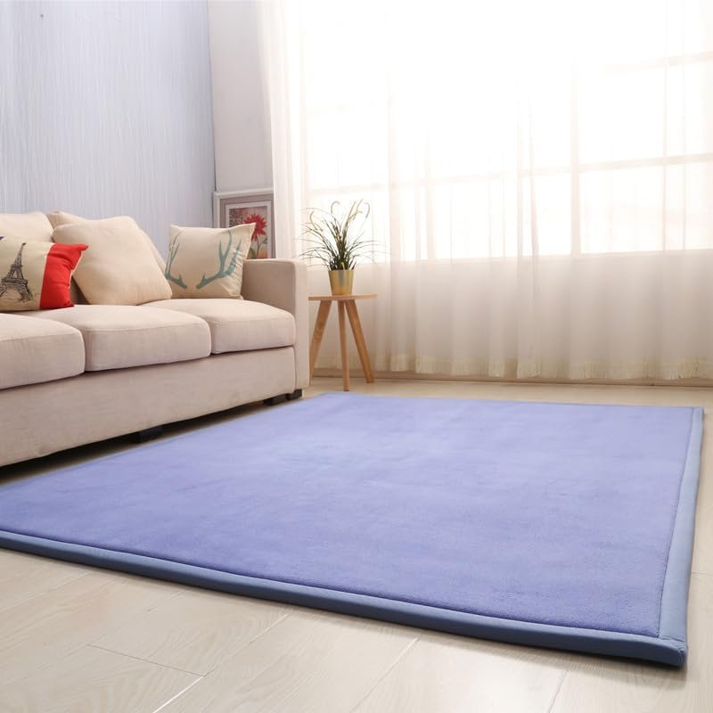 DSSHENGDS Living Room Home Decor Coral Fleece Area Rug,Modern Nursery Washable Kids Bedroom Rug,Girls Boys Soft Non-Slip Soft Mat,2cm Thick Kids Carpet-L- 180 * 180cm