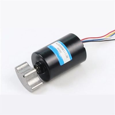 12V 24V Brushless Motor 3650 DC Vibration Motor Five Wire Without Brake/Six Wire with Brake Planetary Gear High Torque(12V 4000rpm,5wires Without Brake)