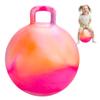 INPODAK Hopper Ball 18 Inch Bouncy Ball with Handle for Kids, Hippity Hop Jumping Bounce Hopping Toy for Boys Girls Ages 3-6 Includes Pump and Gift Box Great Gift for Birthday view 1