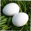 balacoo 28pcs Lifelike Plastic Fake Pigeon Eggs for Incubation Durable Lightweight and Recyclable Pe Eggs for Pigeon Breeding and DIY Decor view 4
