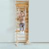 Avenlur Betula Swedish Ladder Wall Gym - Indoor Playset with Swing, Rope Ladder, Pull-Up Bar, and Slide - Indoor Gym for Kids and Adults view 1