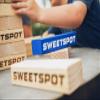 SweetSpot Tumbling Tower with 54 Wood Blocks and Carry Case view 3