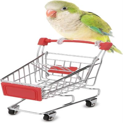 HAICHEN TEC Bird Toys Mini Shopping Cart Trolley Bird Parrot Pet Intelligence Growth Utility Cart Mode Storage Decoration Toys (Red)