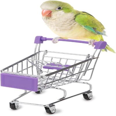 HAICHEN TEC Bird Toys Mini Shopping Cart Trolley Bird Parrot Pet Intelligence Growth Utility Cart Mode Storage Decoration Toys (Purple)