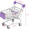 HAICHEN TEC Bird Toys Mini Shopping Cart Trolley Bird Parrot Pet Intelligence Growth Utility Cart Mode Storage Decoration Toys (Purple) view 2