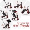 Winhope Kids Tricycle, 6 in 1 Baby's Tricycle Toddler Trike with Adjustable Push Handle, Reversible Seat and Canopy, Baby Stroller for 1-6 Year Olds, Suitable for Outdoor Activities(Red) view 3