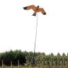 Garden Bird Repellent Eagle Kite,Bird Scarer Repeller Flying Kite,Hawk Bird Scarer Kite for Outdoor Garden Farm Yard Decoration - Include 2M Kite Line view 1