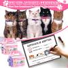 37 Pcs Adopt a Cat Party Favors Include 12 Foldable Kitten Boxes 12 Mini Stuffed Cat 12 Card 1 Stand for Adopt a Kitty Party Favors Kitten Supplies Gifts view 4