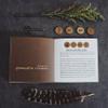 Geomantic Visions Geomancy Divination Coins Learning Tool in Keepsake Box with Guidebook by James R. EADS view 4