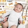 Aniruddha Custom Corgi Baby Name Blanket,Personalized Corgi Baby Blanket,Customized Name Blanket for Toddlers Kids Nursery,90"x120"-Family Size view 3
