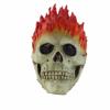 Amonkky Flaming Skull Mask Halloween Role Playing Latex Mask Halloween Masquerade Costume props. view 3