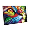 Newsight Paint by Numbers for Adults & Kids & Beginners DIY Acrylic Painting Gift Kits (Framed Color Cat, 12" Wx16 L) view 1