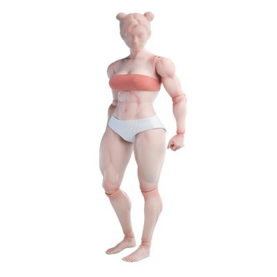 1/6 Scale Female Body,12inch Worldbox Female Joint Flexible Pale Suntan Skin Action Figure Body Collection (Pale Skin, Muscler Version)