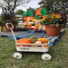 kidpop PULA-Wild 3-in-1 Kids' Pull-Along Wagon Toddlers Push Walker for 2.5-8, Removable Wooden Cover and Adjustable Handlebar, Birthday Gifts Max Weight 33 lbs (White) view 2