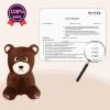 INPANY Bouncy Horse, Bear Hopper Toys, Toddlers Brown Bouncing Animal, Inflatable Plush Bounce Buddies, Kids Ride on Rubber Bouncer, Indoor Outdoor Birthday Gifts Toy for 2 3 4 Year Old Girls Boys view 4
