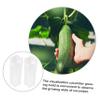 CAXUSD 2pcs Square Shaped Cucumber Molds for Garden Durable Material High Temperature Resistant Vegetable Forming Tools for Cucumber Enthusiasts and Garden Lovers view 3