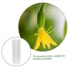 Levemolo 2pcs Cucumber Fruit and Vegetable Shaping Cucumber Styling Accessories Fruit Shape Vegetable for Gardening view 3