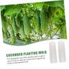 Levemolo 2pcs Cucumber Fruit and Vegetable Shaping Cucumber Styling Accessories Fruit Shape Vegetable for Gardening view 4
