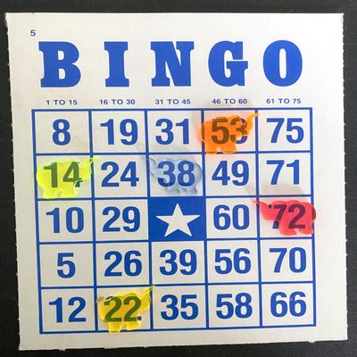 BINGO Waiter Chips - ELEPHANTS(Pack of 5)