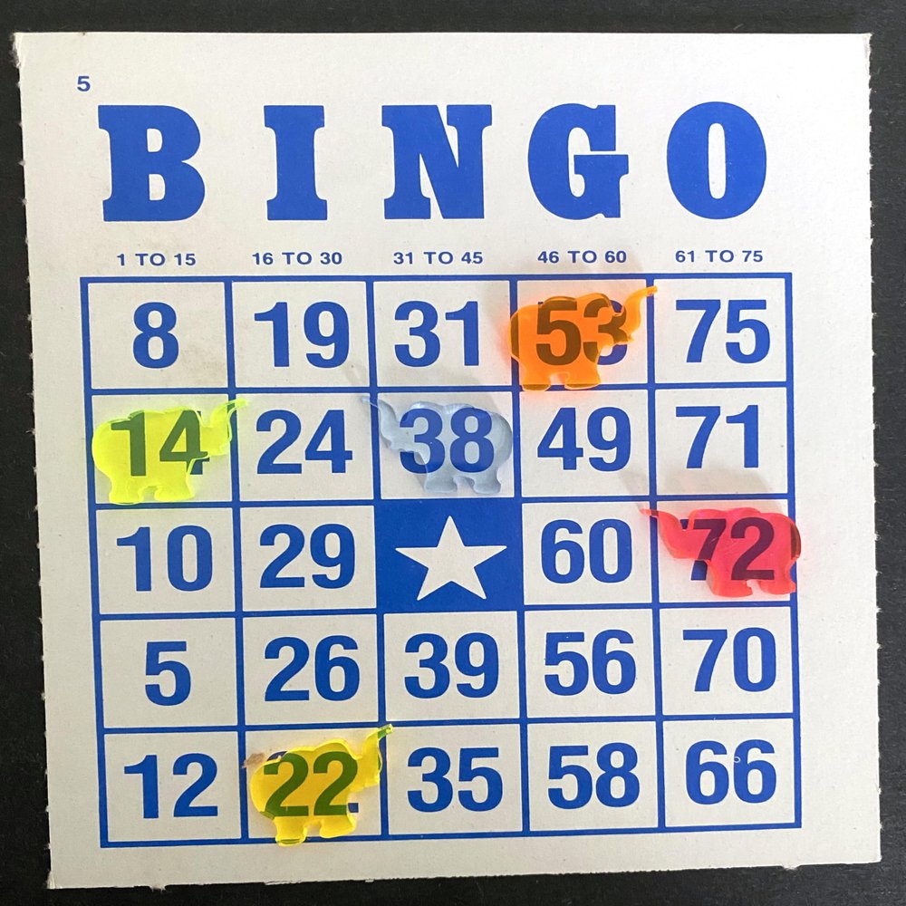 BINGO Waiter Chips - ELEPHANTS(Pack of 5)