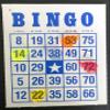 BINGO Waiter Chips - ELEPHANTS(Pack of 5) view 1