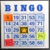 BINGO Waiter Chips - I'M ON (Pack of 5) view 1