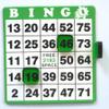 BINGO Waiter Chips - Rounded Corner - GREEN (Pack of 4) view 2