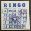 BINGO Waiter Chips - CLEAR (Pack of 4) view 2